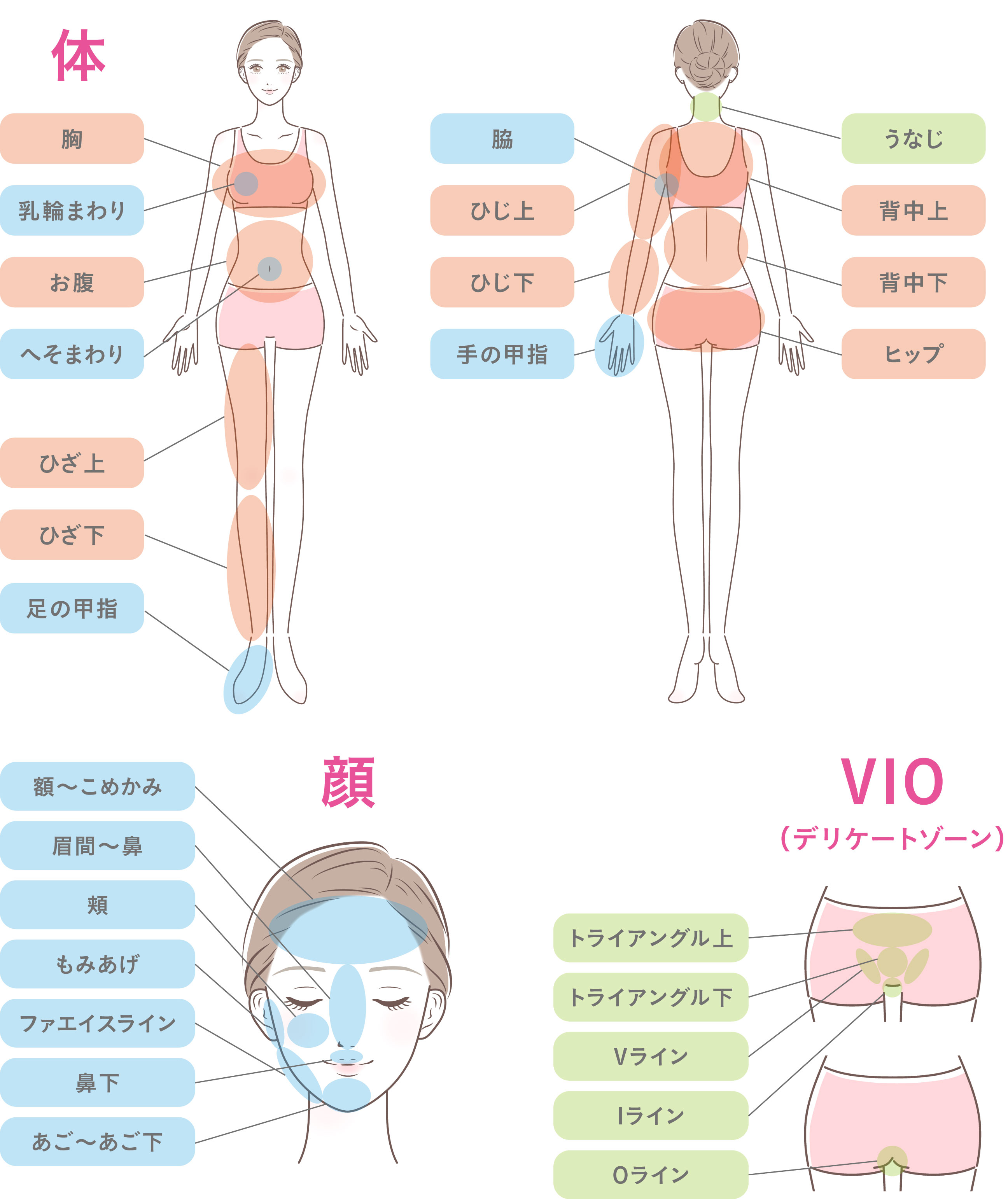 脱毛パーツの画像